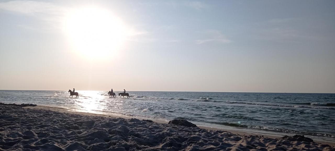 Private Seaside Home סאשינו מראה חיצוני תמונה